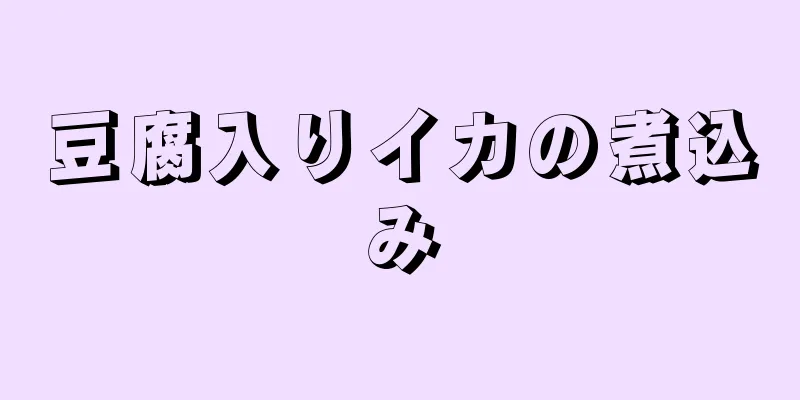 豆腐入りイカの煮込み