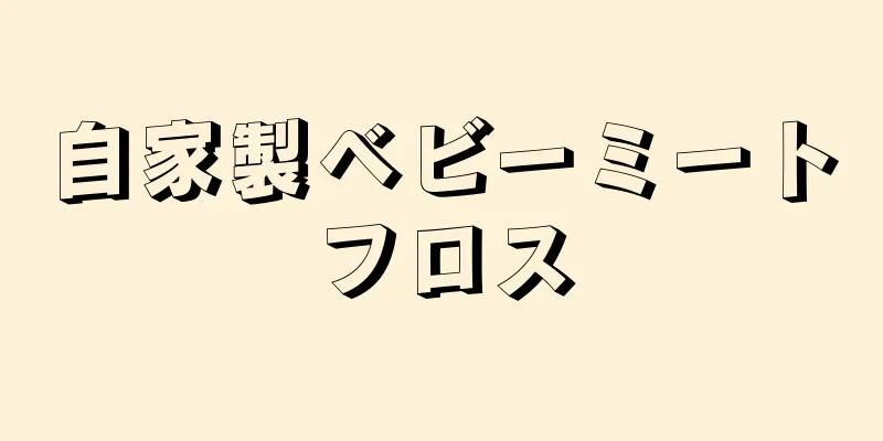 自家製ベビーミートフロス