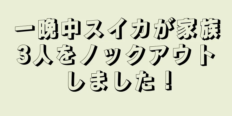 一晩中スイカが家族3人をノックアウトしました！