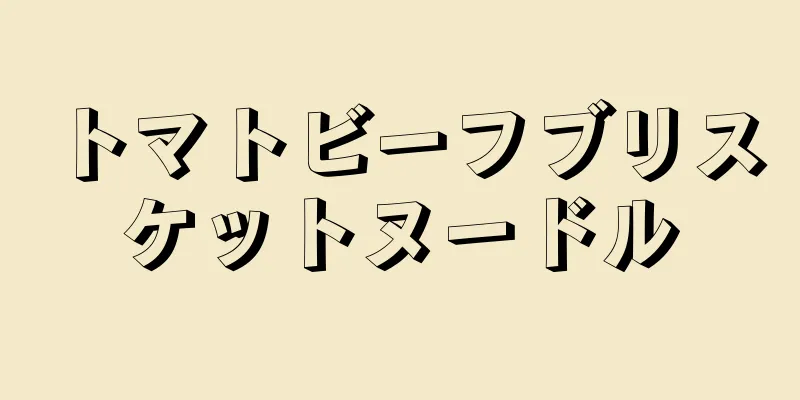 トマトビーフブリスケットヌードル