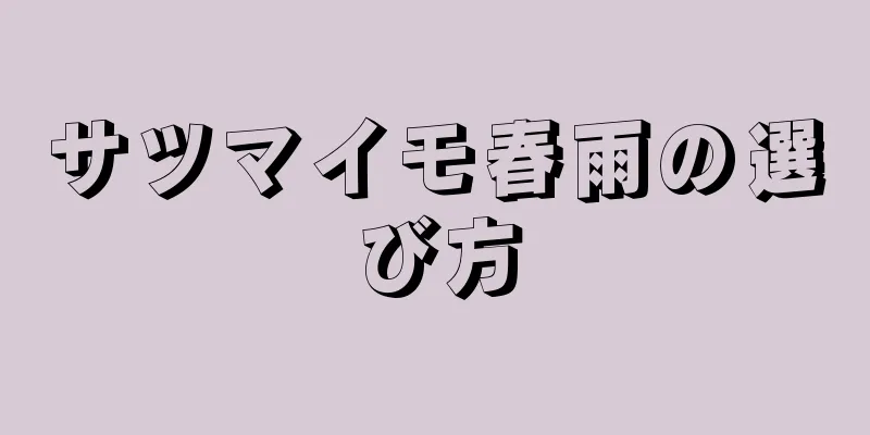 サツマイモ春雨の選び方