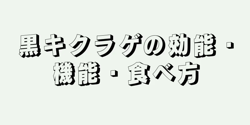 黒キクラゲの効能・機能・食べ方