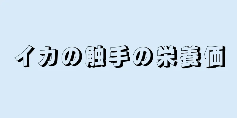 イカの触手の栄養価