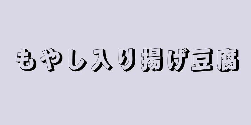 もやし入り揚げ豆腐