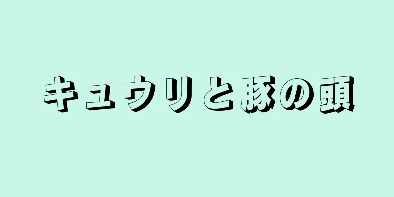 キュウリと豚の頭