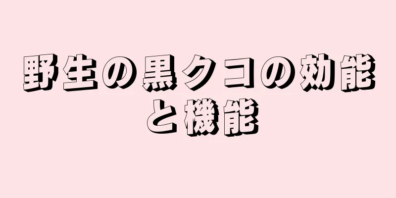 野生の黒クコの効能と機能