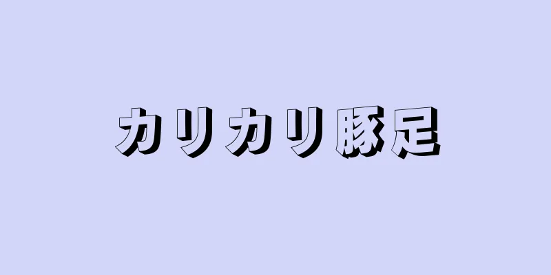 カリカリ豚足