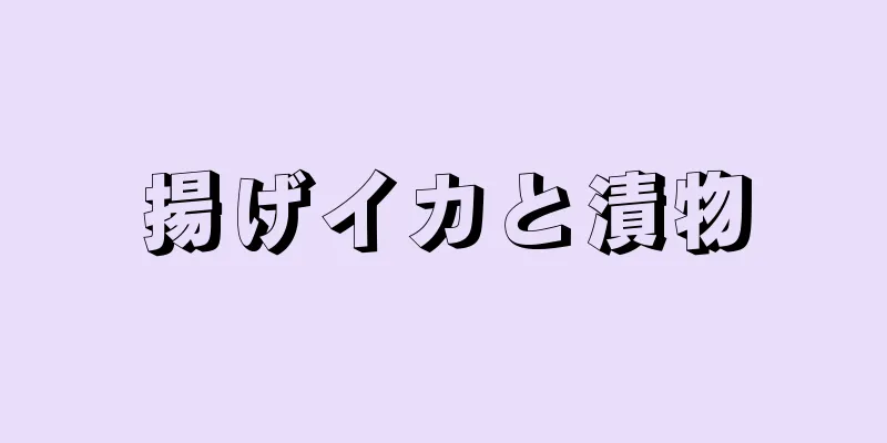 揚げイカと漬物