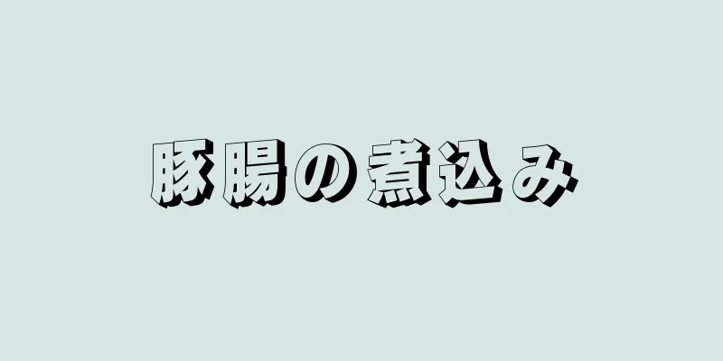 豚腸の煮込み