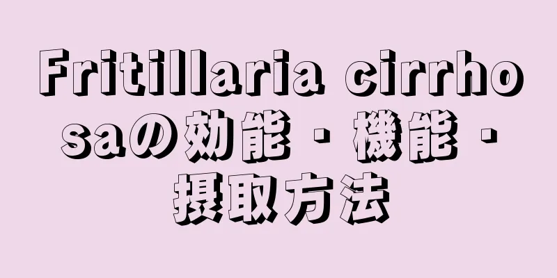 Fritillaria cirrhosaの効能・機能・摂取方法