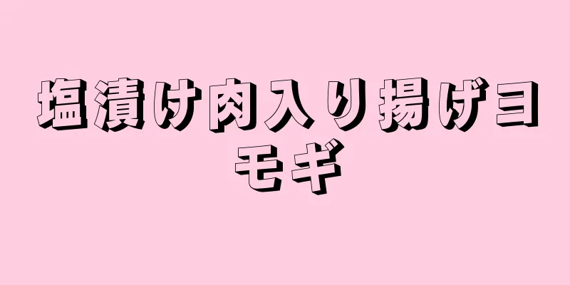 塩漬け肉入り揚げヨモギ