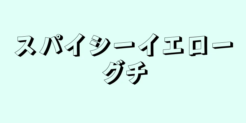 スパイシーイエローグチ