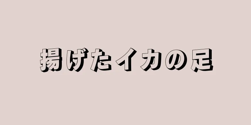 揚げたイカの足