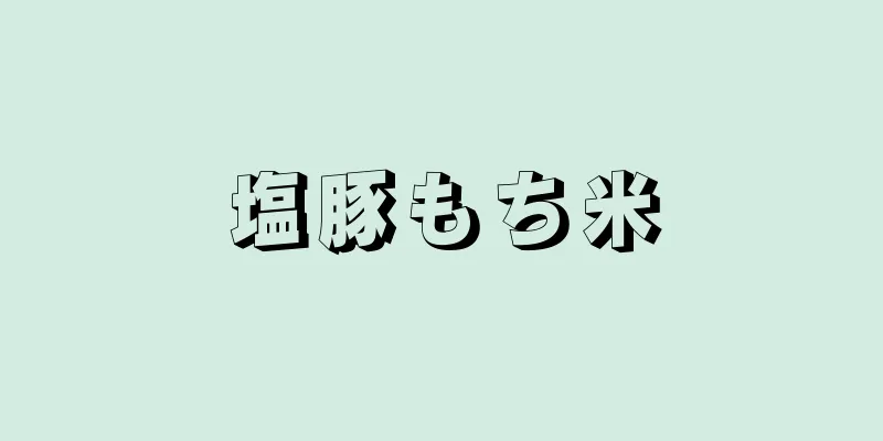 塩豚もち米