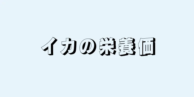 イカの栄養価