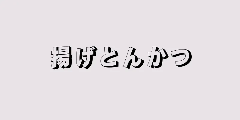 揚げとんかつ