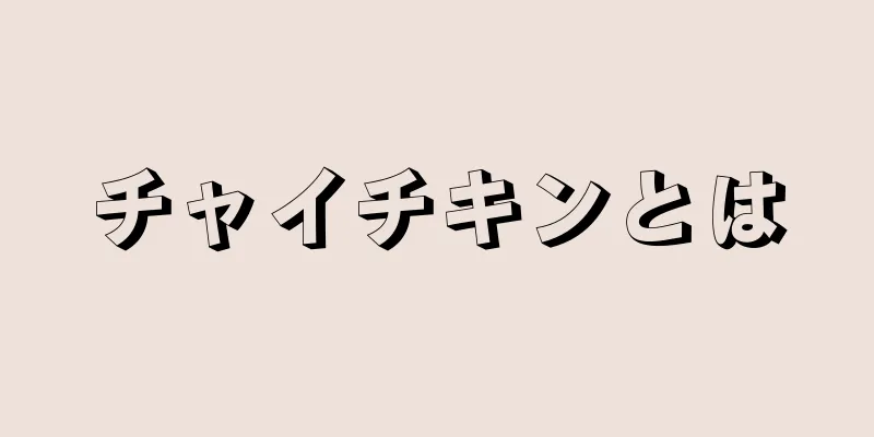 チャイチキンとは