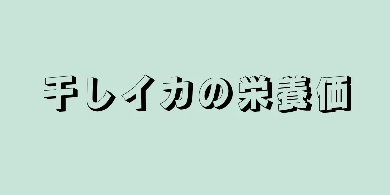 干しイカの栄養価