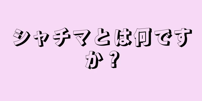 シャチマとは何ですか？