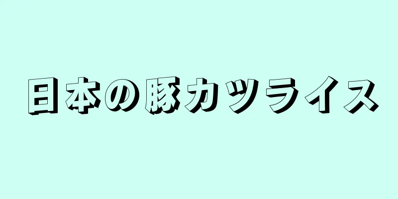 日本の豚カツライス