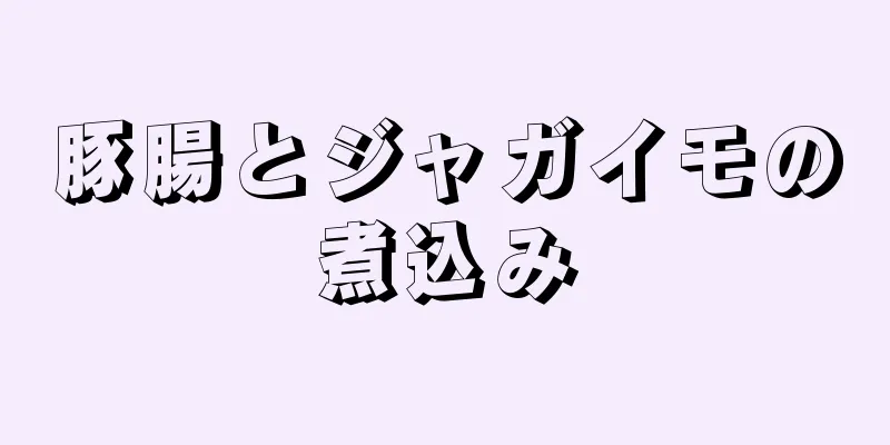 豚腸とジャガイモの煮込み