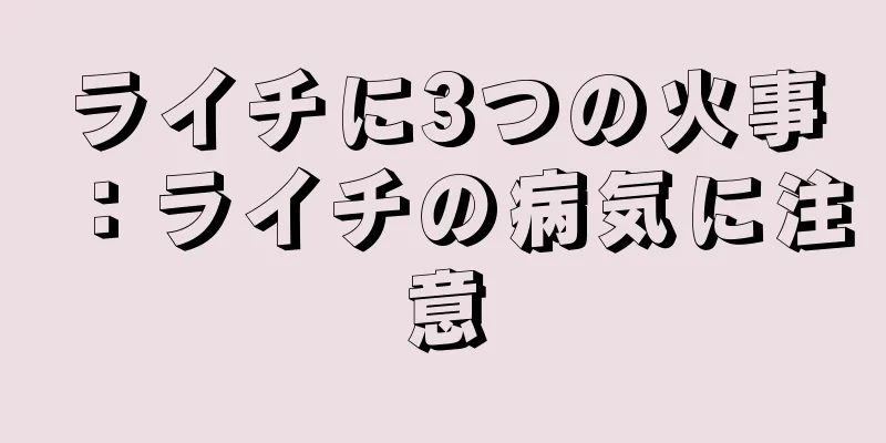 ライチに3つの火事：ライチの病気に注意