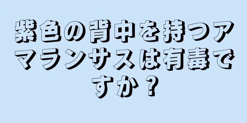 紫色の背中を持つアマランサスは有毒ですか？