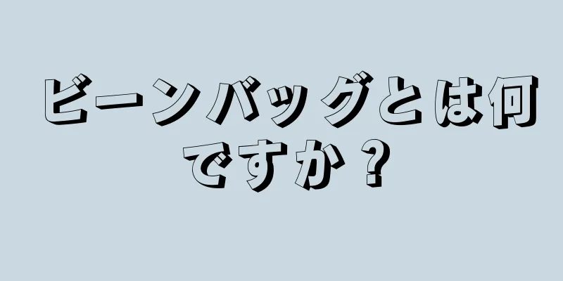 ビーンバッグとは何ですか？