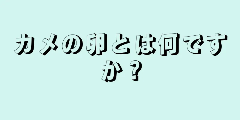 カメの卵とは何ですか？