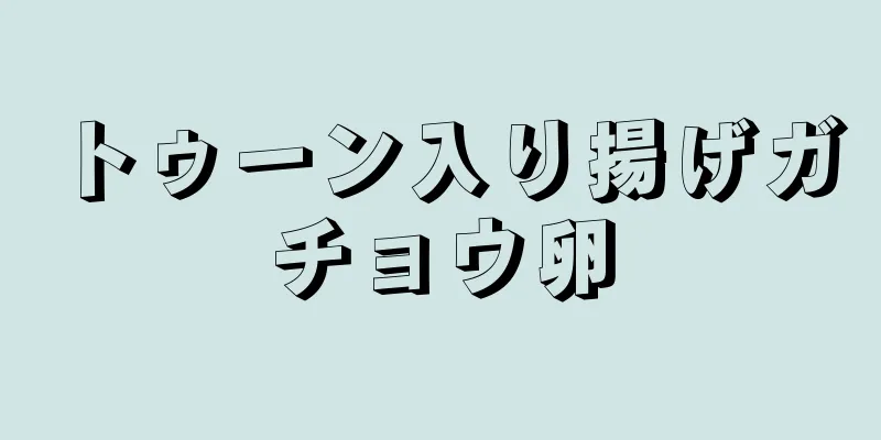 トゥーン入り揚げガチョウ卵