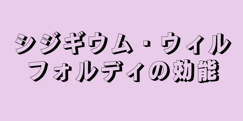 シジギウム・ウィルフォルディの効能