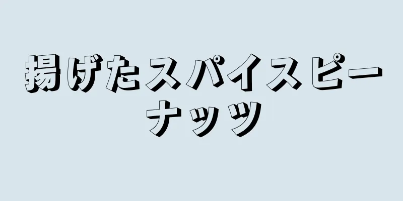 揚げたスパイスピーナッツ