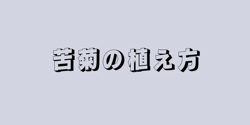 苦菊の植え方