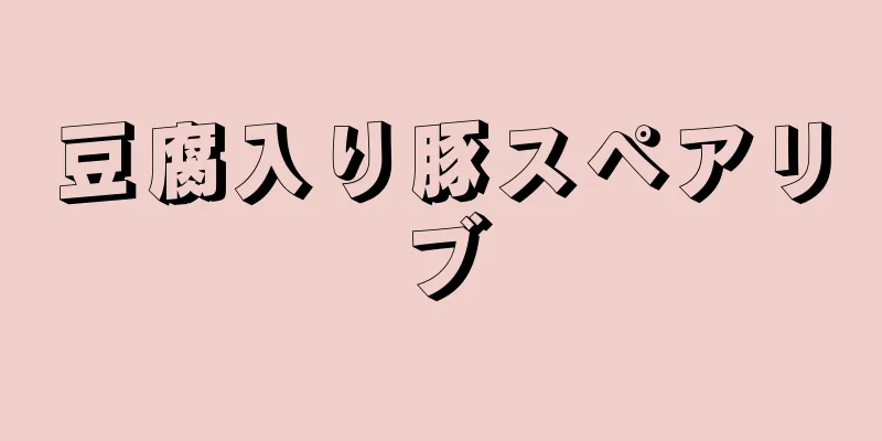 豆腐入り豚スペアリブ