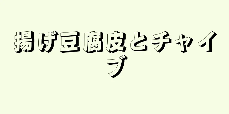 揚げ豆腐皮とチャイブ