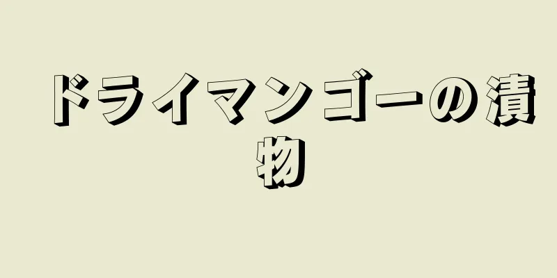 ドライマンゴーの漬物