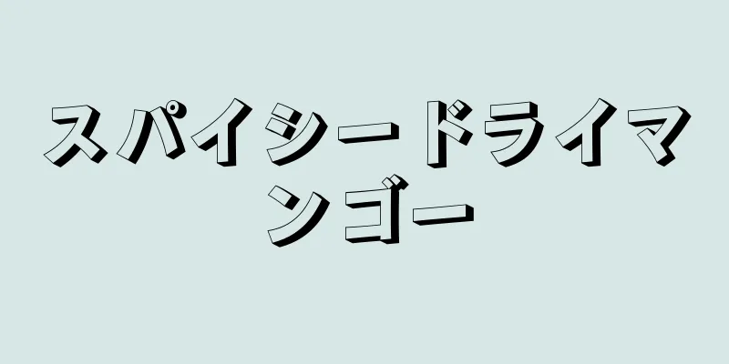 スパイシードライマンゴー