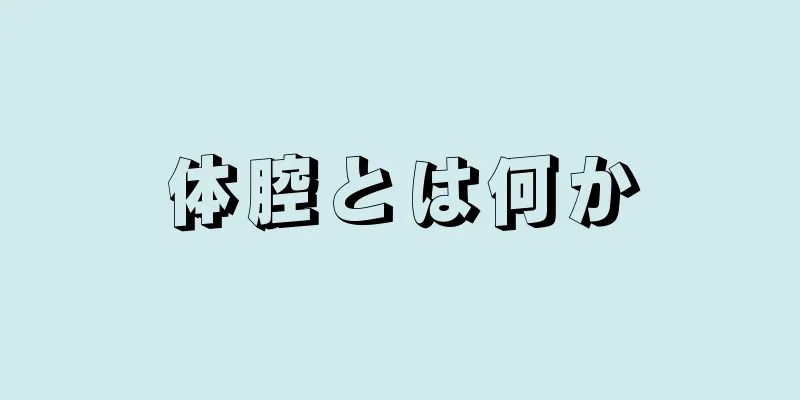 体腔とは何か