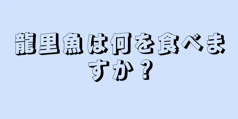 龍里魚は何を食べますか？