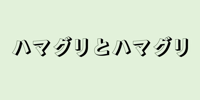 ハマグリとハマグリ