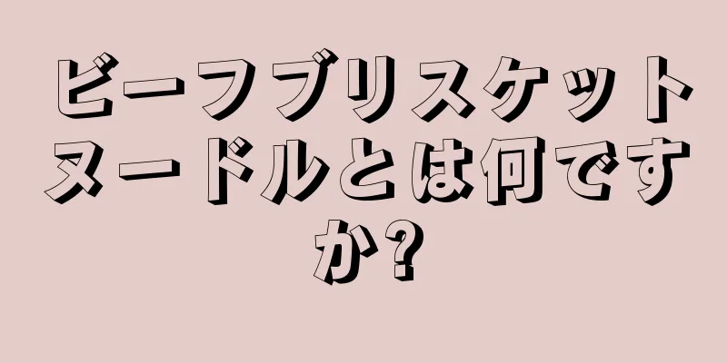 ビーフブリスケットヌードルとは何ですか?