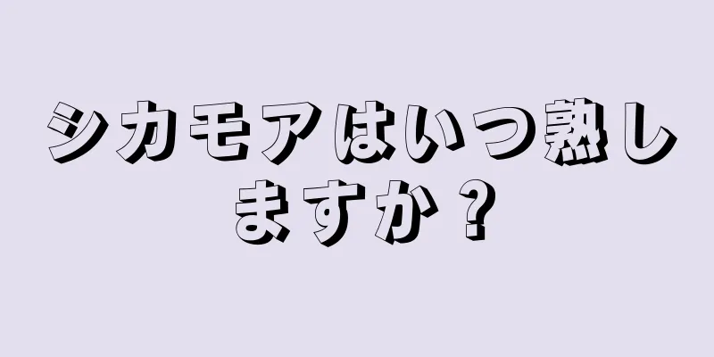 シカモアはいつ熟しますか？