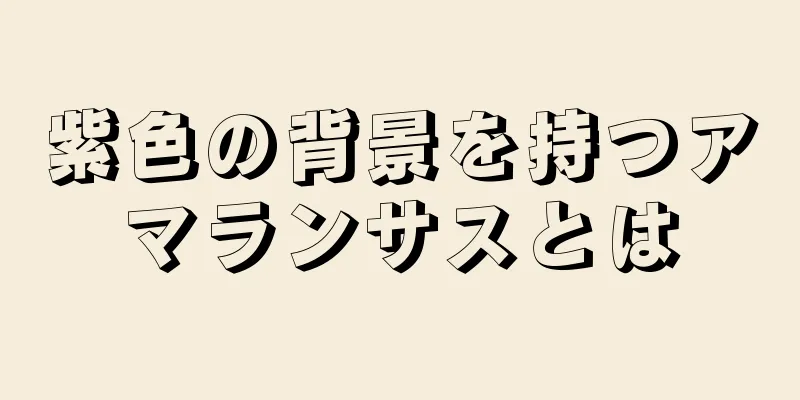 紫色の背景を持つアマランサスとは