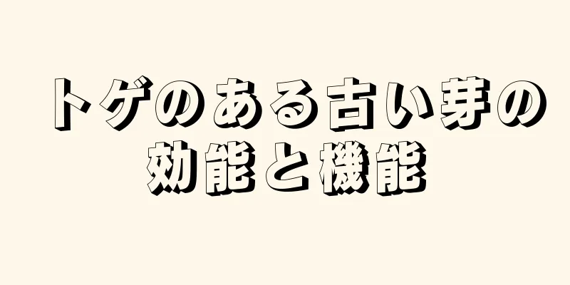 トゲのある古い芽の効能と機能