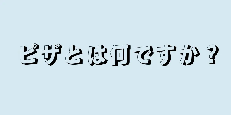 ピザとは何ですか？