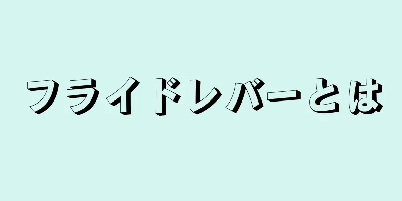 フライドレバーとは