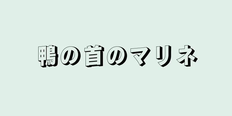 鴨の首のマリネ