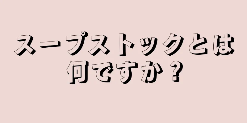 スープストックとは何ですか？