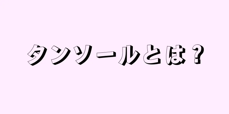 タンソールとは？