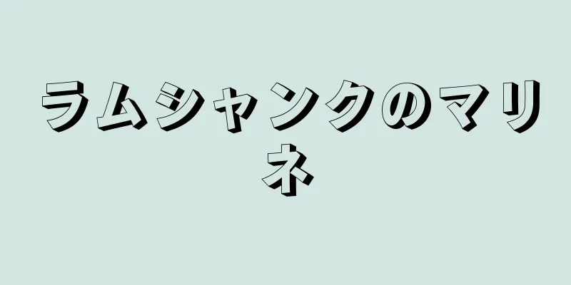 ラムシャンクのマリネ